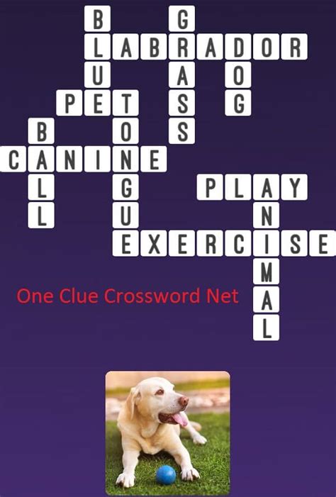 water dog crossword clue|water dog crossword answer.